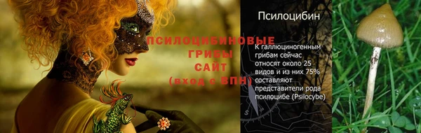 PSILOCYBIN Белая Холуница