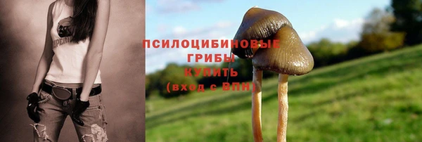 ALPHA PVP Великий Новгород