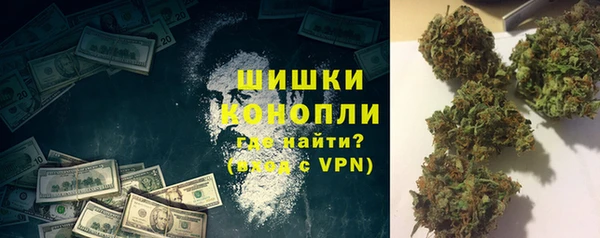 молекула духа Снежногорск